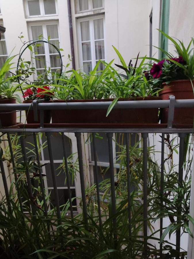 Florence Pitti Loft Eksteriør billede